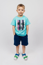 Комплект для мальчика (футболка,шорты) 42113