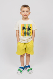 Комплект для мальчика (футболка,шорты) 42113
