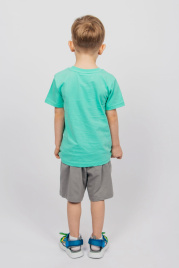 Комплект для мальчика (футболка,шорты) 42112