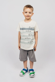 Комплект для мальчика (футболка,шорты) 42111