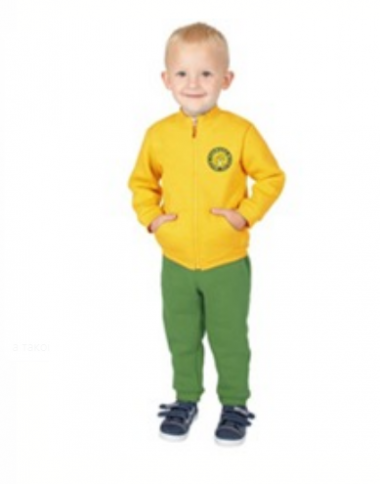 Комплект детский (куртка,брюки) Н3321 фото 2